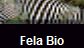 Fela Bio
